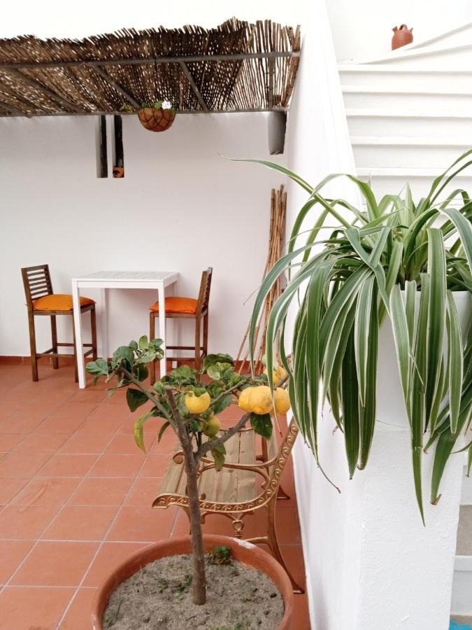 Casa Da Umbria Bed and Breakfast Odemira Eksteriør billede
